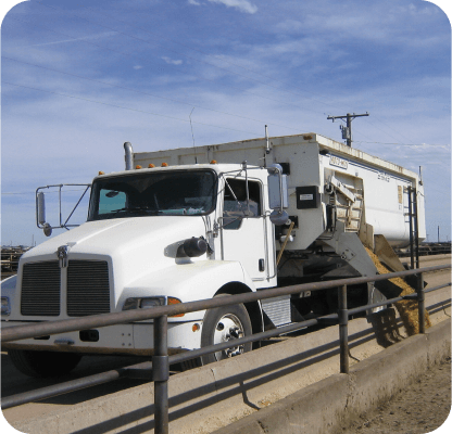 Streamlining Lot Management in Modern Feed Yards