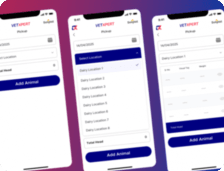 Custom Development & Mobile Apps Image